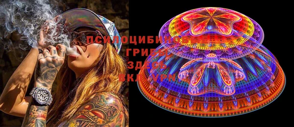 индика Алексеевка