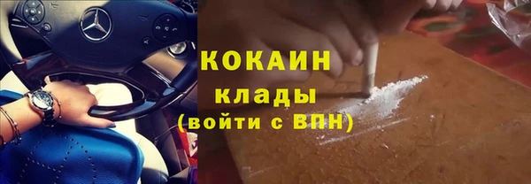 кокс Алексин