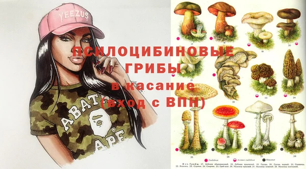 молекула духа Алзамай