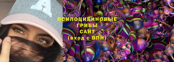 индика Алексеевка