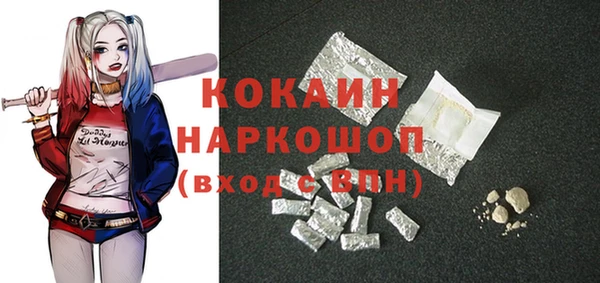 кокс Алексин