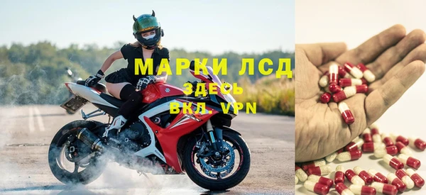 индика Алексеевка