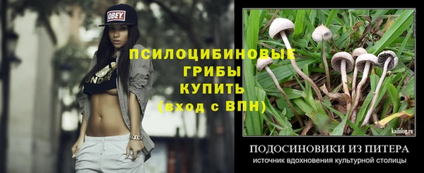 кокс Алексин