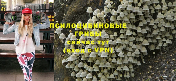 молекула духа Алзамай
