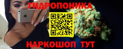 прущие крисы Новозыбков